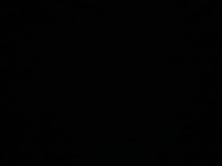 شمعة القط الحنون | مارشميلو