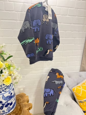 طقم ثيم لطيف للاولاد من زارا