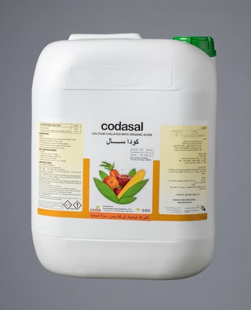 كودا سال
