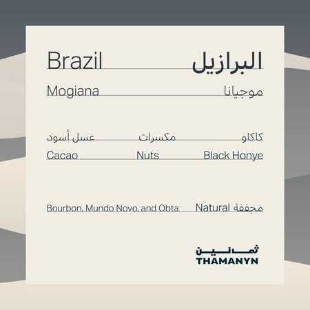 بوكس 5 اظرف قهوة موجيانا ثمانين