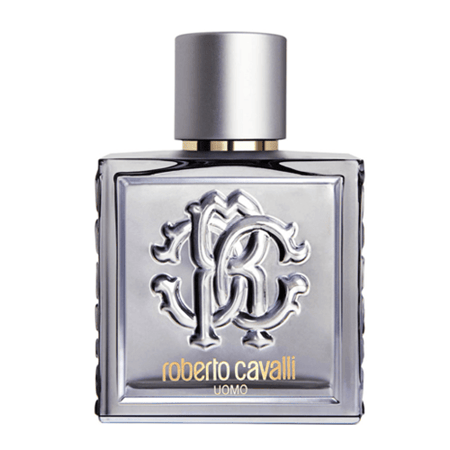 عطر روبيرتو كفالي اومو سيلفر ايسنس للرجال او دو تواليت 100 مل