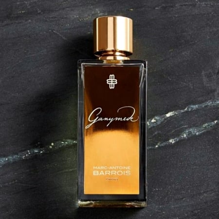 Ganymede Marc Antoine Barrois