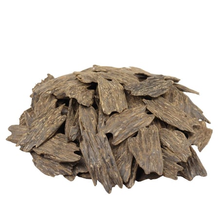 عود كلمنتان محسن صفائح