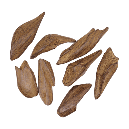 عود مروكي طبيعي محسن بيور سوبر