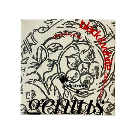 اوتار جيتار احترافية صناعة ايطالية ماركة جالي الشهيرة متجر مقام الصبا