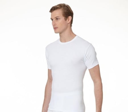 فنيلة برومان الفوزان