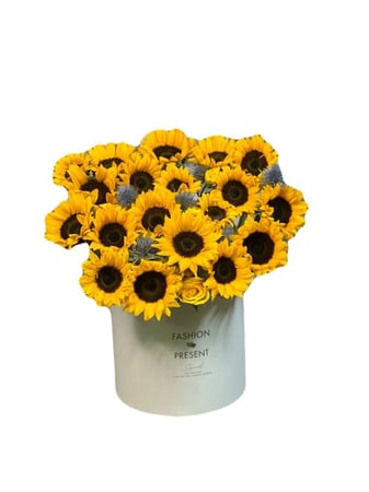 باقة عباد الشمس