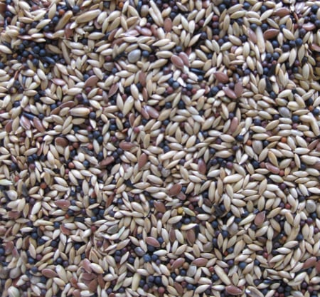 غذاء كامل لطيور الكناري Deli Nature