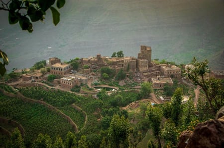 علي صبيح - مزاد  كأس النخبة اليمني  100g