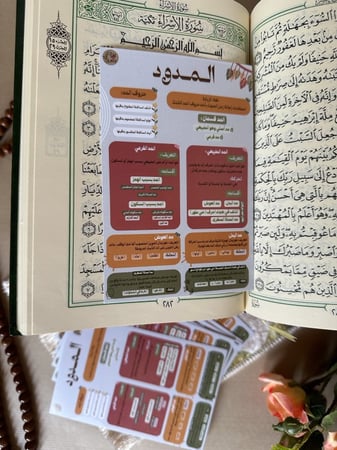 أحكام المدود 12 حبة