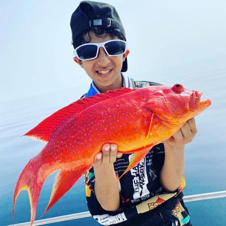 نظارة بحرية