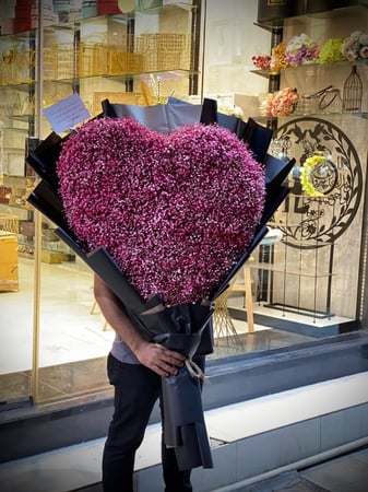 باقه جبسوفيليا عملاقه