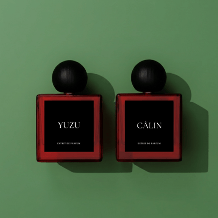 كالن و يوزو |  CÂLIN & YUZU