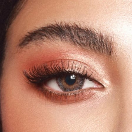 كريمي بروليه CREME BRULEE