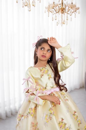 فستان أميرة