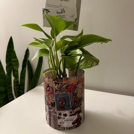 بوتس  سبايدر مان