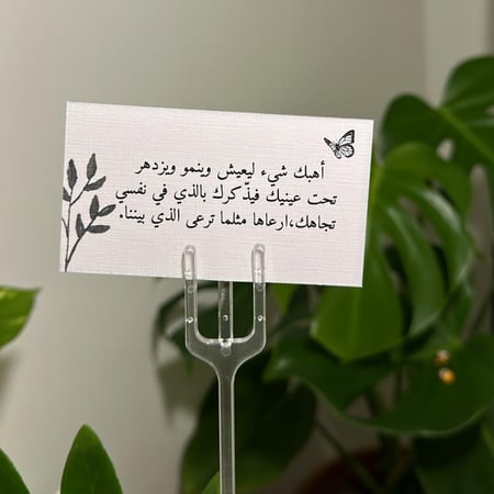 كرت( أهبك شيء..)