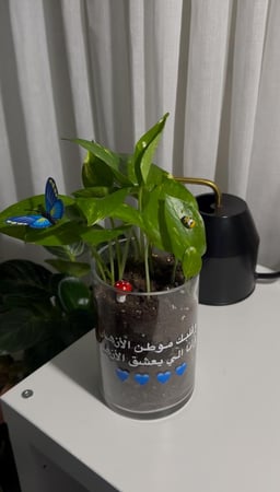 بوتس قلبك موطن الازهار