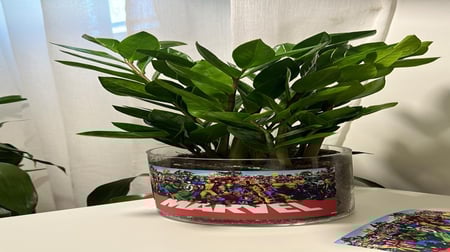 زاميا بصورة من اختيارك