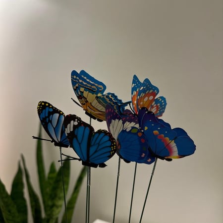 فراشة لون ازرق