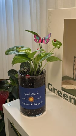 بوتس جاهزة للاهداء