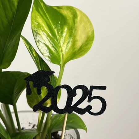 2025