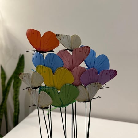 فراشه لون عشوائي