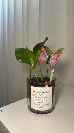 بوتس حجم صغير ( اضافة صورة او عبارة حسب طلبك)