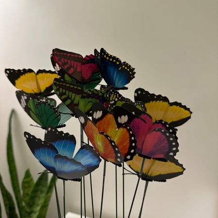 فراشة منقطه لون عشوائي