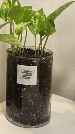 بوتس جاهزة للاهداء