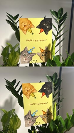 كرت ميلاد قطط