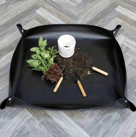 بساط لنقل النباتات بسهولة