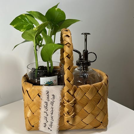 سلة ( بوتس- مرش نبات)