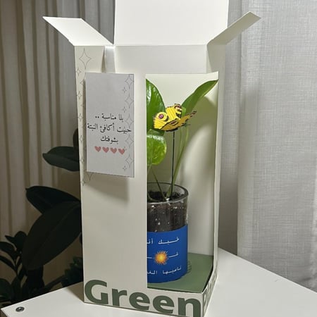 بوتس جاهزة للاهداء