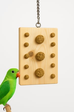 لعبة مضغ خشبية للبغاوات الصغيرة والمتوسطة لعبة طيور مسليه تعليميه