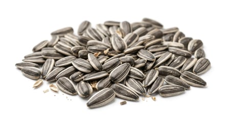 حب شمسي صغير Small Sunflower Seeds وزن 1 كيلو للطيور الصغيرة والمتوسطه