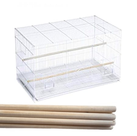 عصي ومجاثم قفص 601 - مجثم طيور مقاس 60 سم - متجر قطتي الجميلة