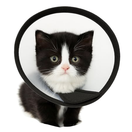 طوق حماية للقطط من جرح العملية - اطواق قطط - منتجات العناية بالقطط