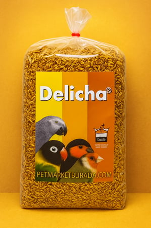 بذور الدليشتاء غذاء تكميلي طبيعي لطيور الزينة فلوراليا Floralia Delich