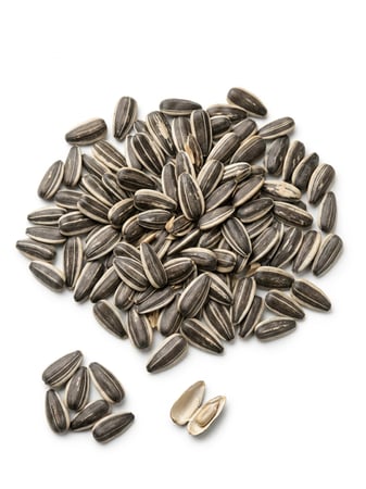 حب شمسي صغير Small Sunflower Seeds وزن 1 كيلو للطيور الصغيرة والمتوسطه