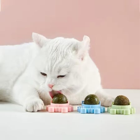 كرة الكاتنيب اوراق النعناع لتنظيف اسنان القطط وتهدئة القطط Catnip Ball