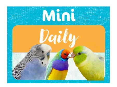 Avimax Mini Daily افي ماكس ميني ديلي غذاء يومي للطيور الصغيرة
