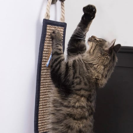 بيتلينكس خداشة قطط العاب قطط مع الكاتنيب Petlinks Claws Up Hanging