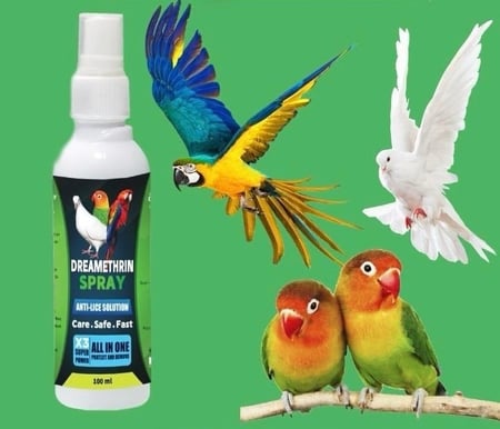 دريم ثرين بخاخ تنظيف ريش الطيور والتخلص من الفاش Dreamethrin Spray