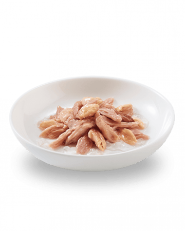شيزر 6 معلبات التونا مع السالمون للقطط Schesir Tuna Salmon Fillet 6x50