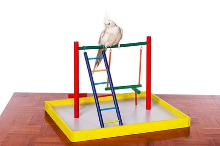 بيرفيو بيت العاب ببغاء مجثم ومنصة لعب للكروانPrevue Pet Cocktail Court
