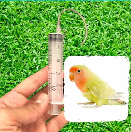 ابرة غر طيور - 20ml