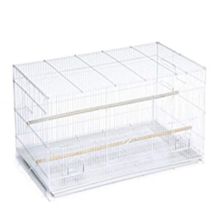 قفص 600 البادجي طيور الحب والروز والكروان مع مجثم - متجر قطتي الجميلة