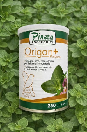 Pineta Origan Plus Powder بينتا مكمل أوريغانو للطيور والبارتس