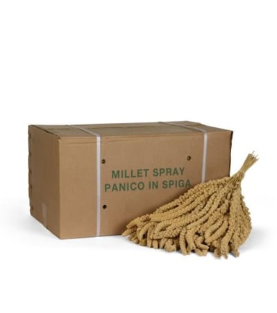 بادوفان اعواد الدخن للطيور المليساء مكافآت طيور Padovan Spray Millet